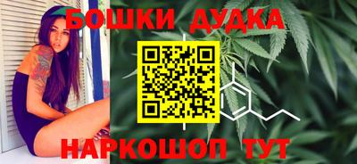 стафф Лесосибирск