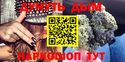стафф Лесосибирск